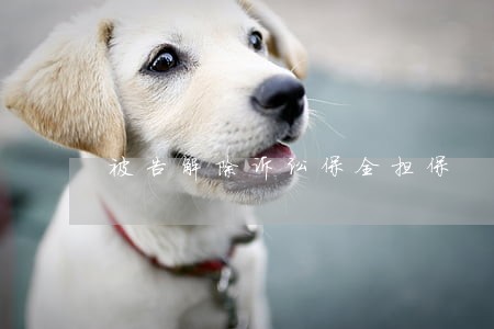 被告解除诉讼保全担保 被告解除诉讼保全担保