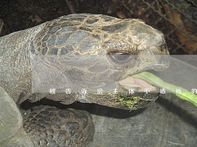被告诉讼主体不适格的法律规定 被告诉讼主体不适格的法律规定