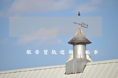 被告贷款逾期委托书 被告贷款逾期委托书