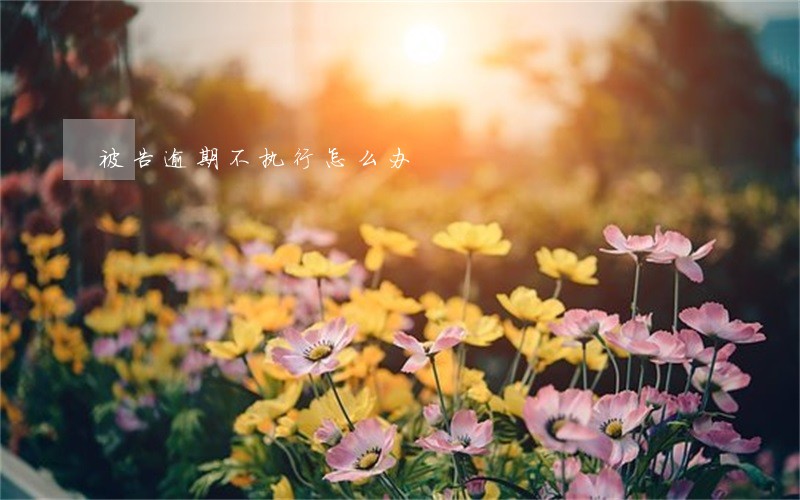 被告逾期不执行怎么办 被告逾期不执行怎么办