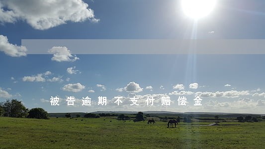 被告逾期不支付赔偿金 被告逾期不支付赔偿金