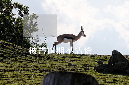 被告逾期不清偿 被告逾期不清偿