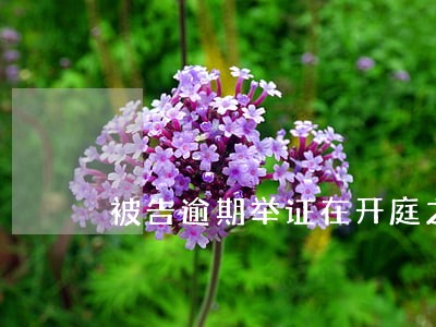 被告逾期举证在开庭之日拿出证据 被告逾期举证在开庭之日拿出证据