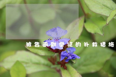 被告逾期举证的补救措施 被告逾期举证的补救措施