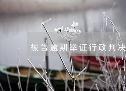 被告逾期举证行政判决书