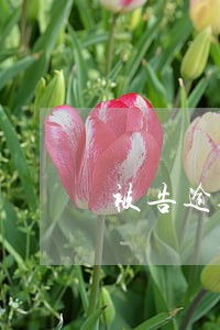 被告逾期会提交证据吗 被告逾期会提交证据吗