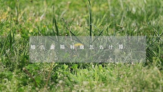 被告逾期利息怎么计算 被告逾期利息怎么计算
