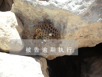 被告逾期执行 被告逾期执行