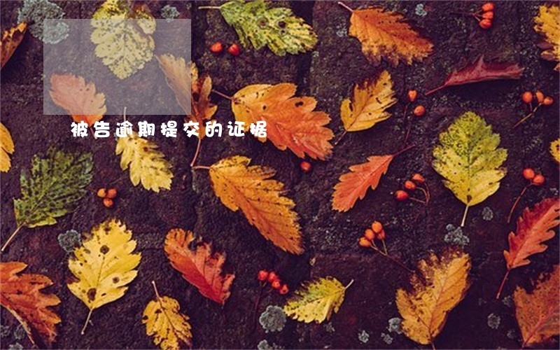 被告逾期提交的证据 被告逾期提交的证据