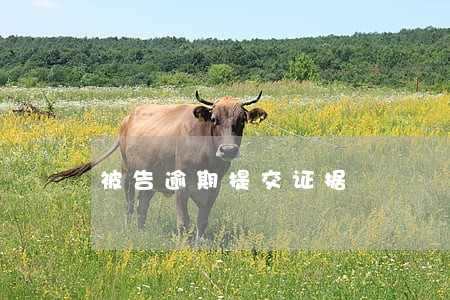 被告逾期提交证据 被告逾期提交证据