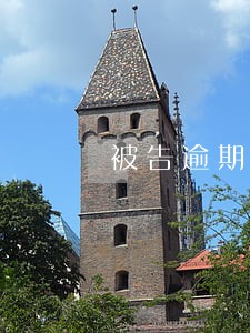 被告逾期提供证据司法解释
