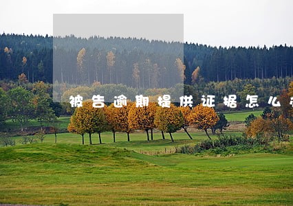 被告逾期提供证据怎么办 被告逾期提供证据怎么办
