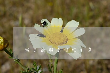 被告逾期支付的利息 被告逾期支付的利息