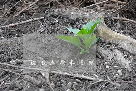 被告逾期未还款 被告逾期未还款