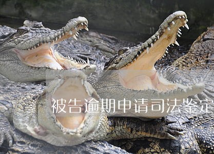 被告逾期申请司法鉴定 被告逾期申请司法鉴定