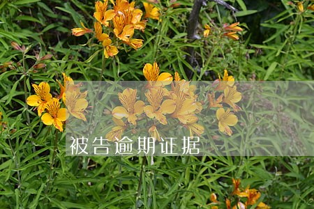 被告逾期证据 被告逾期证据