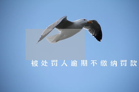 被处罚人逾期不缴纳罚款的 被处罚人逾期不缴纳罚款的