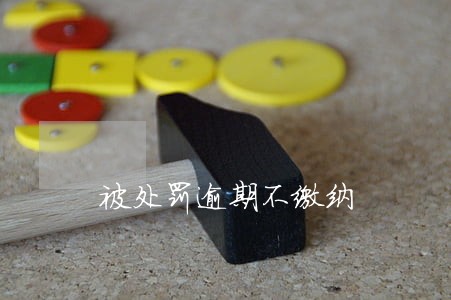 被处罚逾期不缴纳 被处罚逾期不缴纳