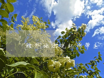 被外地法院起诉带走 被外地法院起诉带走
