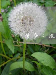被多人殴打还手违法吗 被多人殴打还手违法吗