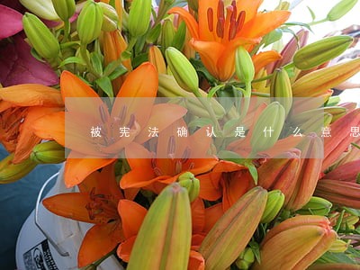 被宪法确认是什么意思 被宪法确认是什么意思