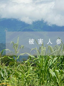 被害人参与庭审的法律条文 被害人参与庭审的法律条文