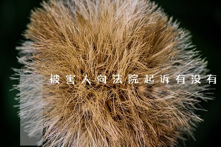 被害人向法院起诉有没有时间限制 被害人向法院起诉有没有时间限制