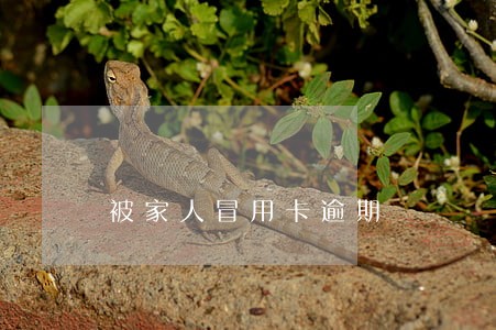 被家人冒用卡逾期 被家人冒用卡逾期