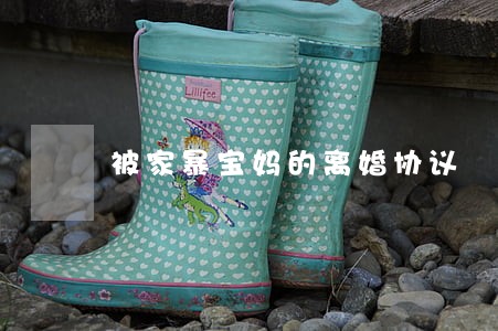 被家暴宝妈的离婚协议 被家暴宝妈的离婚协议