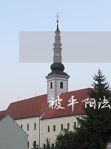 被平阳法院判了7个月 被平阳法院判了7个月