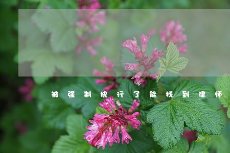 被强制执行了能找到律师吗 被强制执行了能找到律师吗
