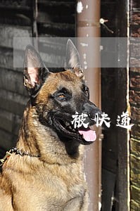 被快递单位起诉运输法院什么办 被快递单位起诉运输法院什么办