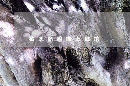 被恶意逾期上征信 被恶意逾期上征信