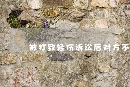 被打致轻伤诉讼后对方不赔偿 被打致轻伤诉讼后对方不赔偿
