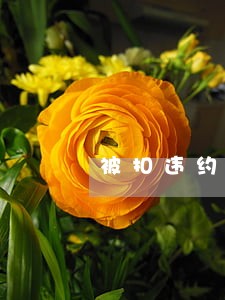被扣违约金就是逾期吗 被扣违约金就是逾期吗
