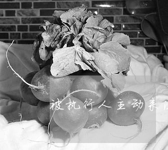 被执行人主动来法院还债 被执行人主动来法院还债