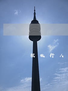 被执行人信用卡逾期 被执行人信用卡逾期