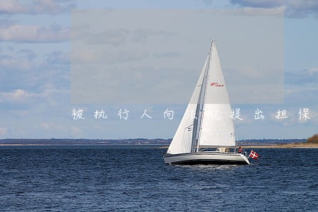 被执行人向法院提出担保