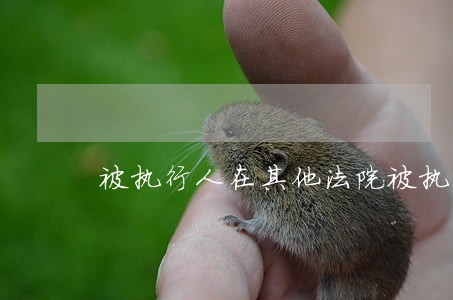 被执行人在其他法院被执行 被执行人在其他法院被执行