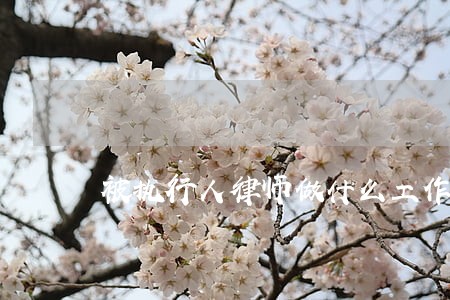 被执行人律师做什么工作 被执行人律师做什么工作