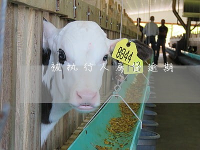 被执行人房贷逾期 被执行人房贷逾期