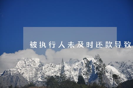 被执行人未及时还款导致逾期 被执行人未及时还款导致逾期