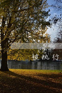 被执行人逾期滞纳金司法解释 被执行人逾期滞纳金司法解释