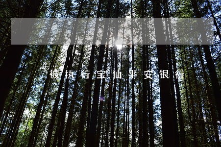 被执行宝仙平安银行