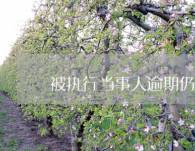 被执行当事人逾期仍不履行 被执行当事人逾期仍不履行