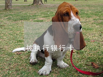 被执行银行卡 被执行银行卡