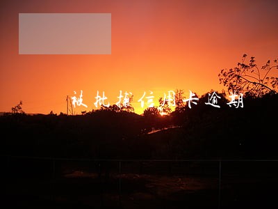 被批捕信用卡逾期