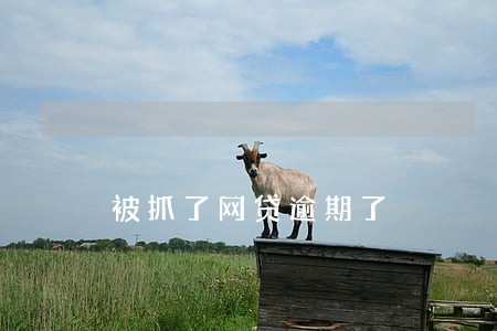 被抓了网贷逾期了 被抓了网贷逾期了