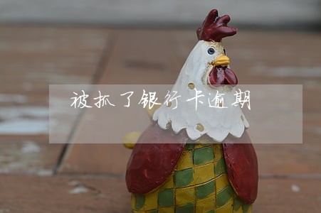 被抓了银行卡逾期 被抓了银行卡逾期
