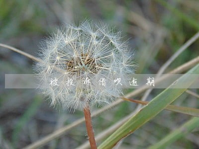 被投诉借呗逾期 被投诉借呗逾期